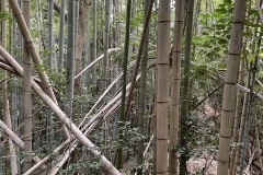 IMG_7691_202307031608059