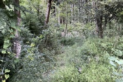 IMG_8805_202310031658017