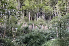 IMG_8806_202310031658031