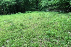 2d4595293563b90096b6093b62a711f5