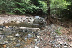 4fc31c7d13ce0d67fa509677032f5e46