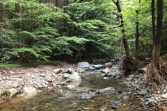 75617f948c18beece94f42adbba6b7d1