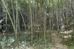 IMG_8709_202310021307048