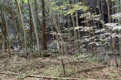 IMG_8711_202310021308009