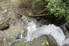 IMG_8717_202310021310025