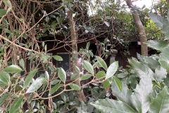 94c29debb6bab0a2e1513435b2947ce6