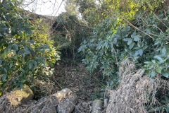 IMG_9607_202401151300054