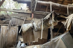 IMG_9619_202401151302039