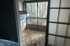 IMG_9625_202401151303024