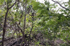 b7a9d34daa0331a9fb0dbe61bfa65069