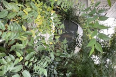 cdd9483191c777d32175494ba10b1689