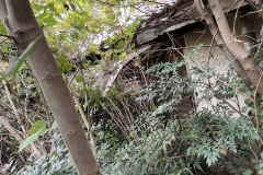 f5bb6ff513c6023f7a468d43e4ff3599