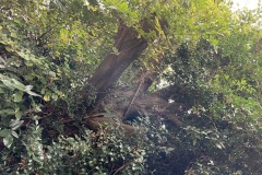 fa17b251538c4983f09647cfdffdc86f