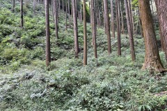 IMG_8730_202310021317050